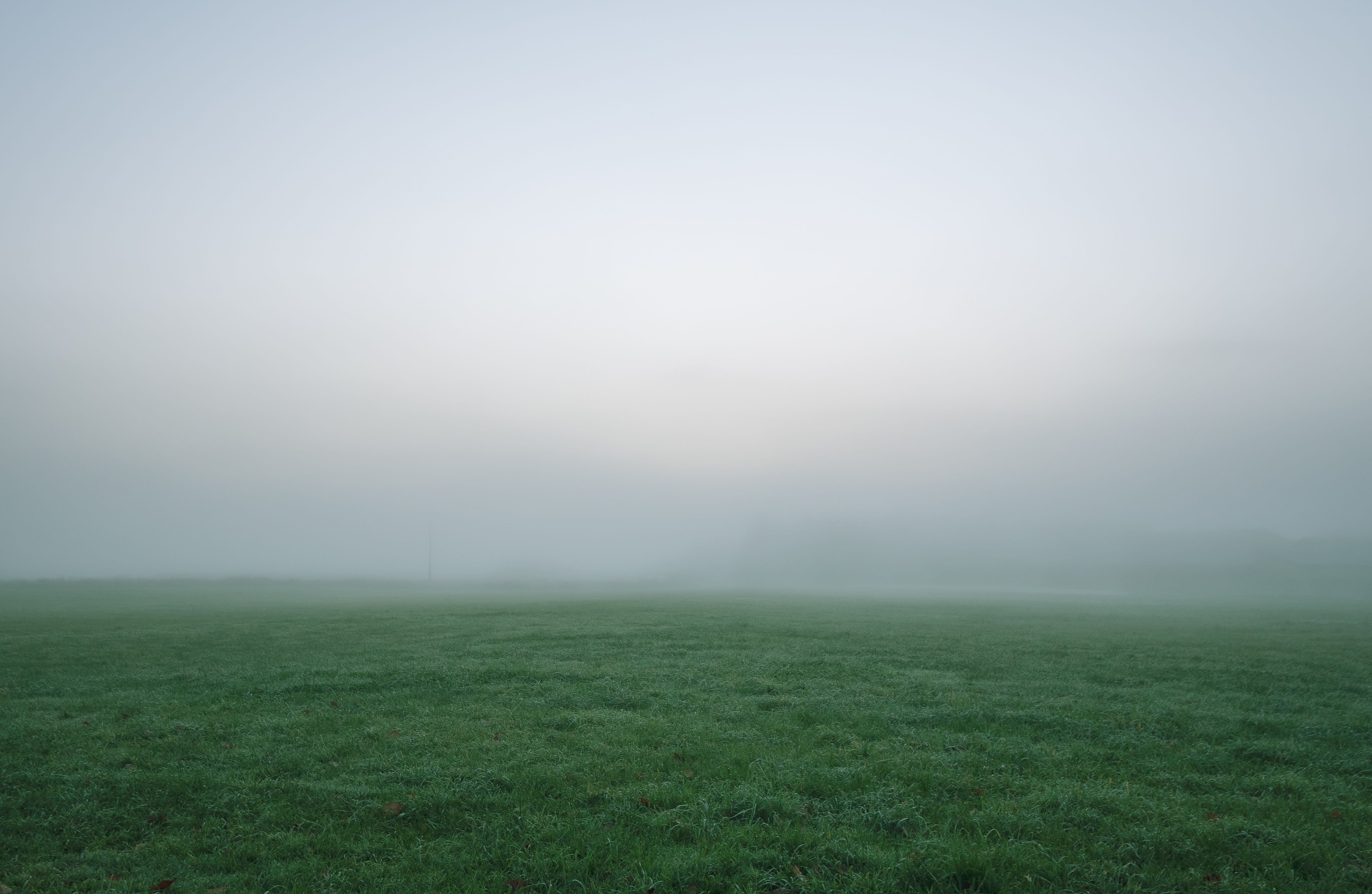 fog.jpg